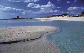 ...alla ricerca del mare pulito