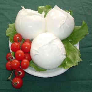 Mozzarella di bufala campana